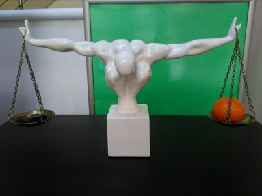 15978138_10209618711319258_89409762_n