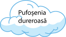 pufosenii-02