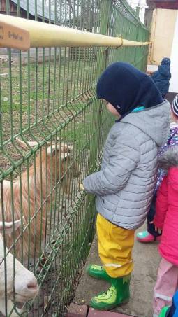 18136425_1510648035675559_1940051377_n