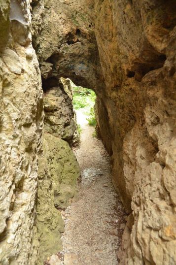 10295337_10202863739889194_2519242236393375151_o